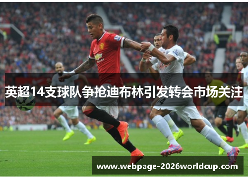 英超14支球队争抢迪布林引发转会市场关注